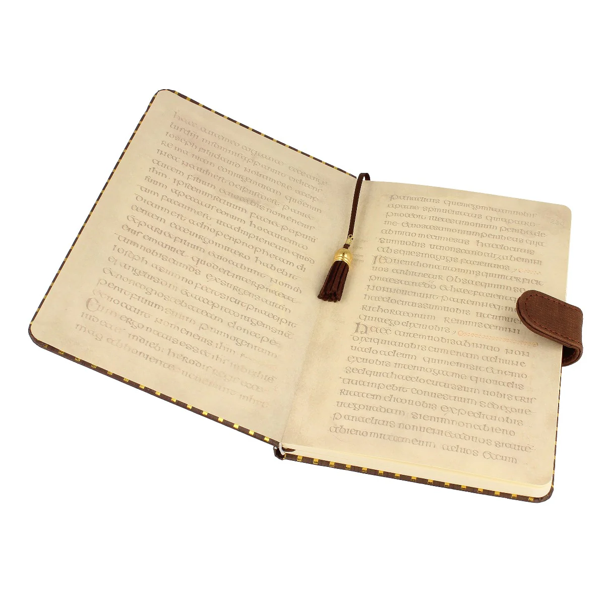 Trinity College Dublin Library A5 Notebook Brown - Image 3